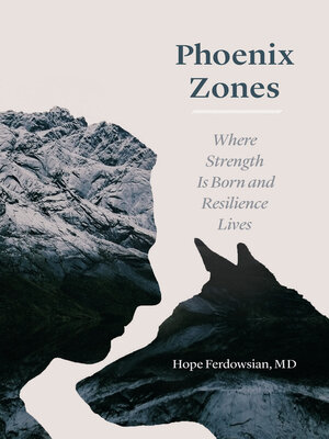 cover image of Phoenix Zones